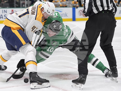 Predators Stars Hockey