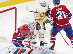 Penguins Canadiens Hockey