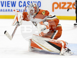 Ducks Maple Leafs Hockey