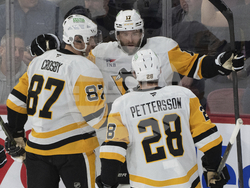 Penguins Canadiens Hockey