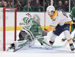 Predators Stars Hockey