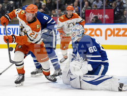 Ducks Maple Leafs Hockey