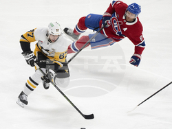 Penguins Canadiens Hockey