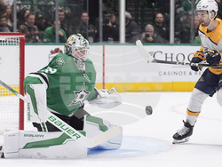 Predators Stars Hockey