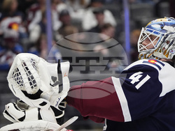 Utah Avalanche Hockey