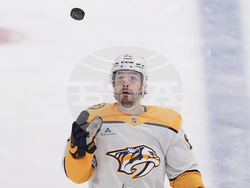 Predators Stars Hockey