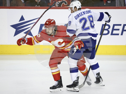 Lightning Flames Hockey
