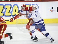 Lightning Flames Hockey