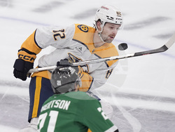 Predators Stars Hockey