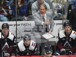 Utah Avalanche Hockey