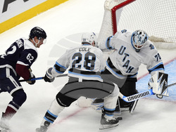 Utah Avalanche Hockey