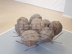 Село Орешак - Веселин Стоянов-Толби - изложба