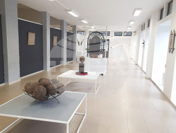 Село Орешак - Веселин Стоянов-Толби - изложба