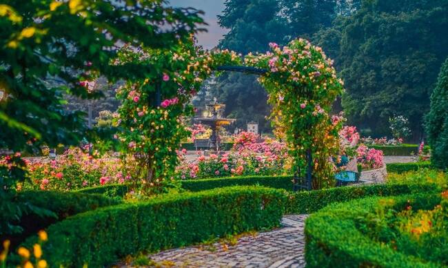 Столична община отчете сериозно увеличение на приходите и качеството на услугите на общинските предприятия 