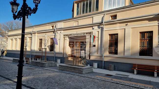 Природонаучният музей в Пловдив организира презентация за един от най-редките видове грабливи птици в Европа