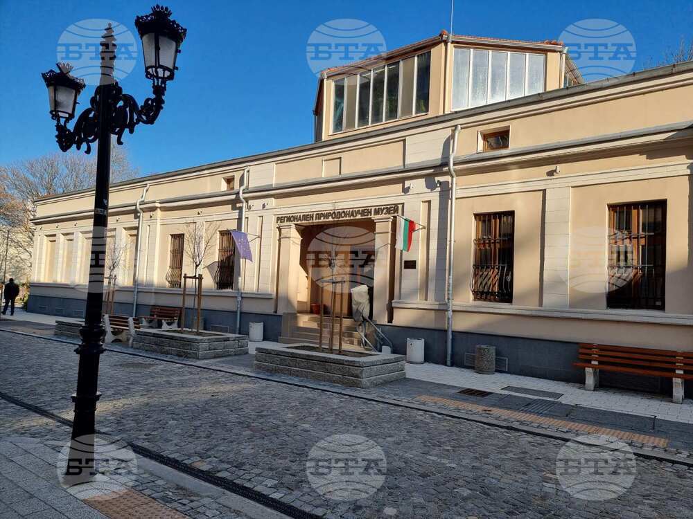 Природонаучният музей в Пловдив организира презентация за един от най-редките видове грабливи птици в Европа