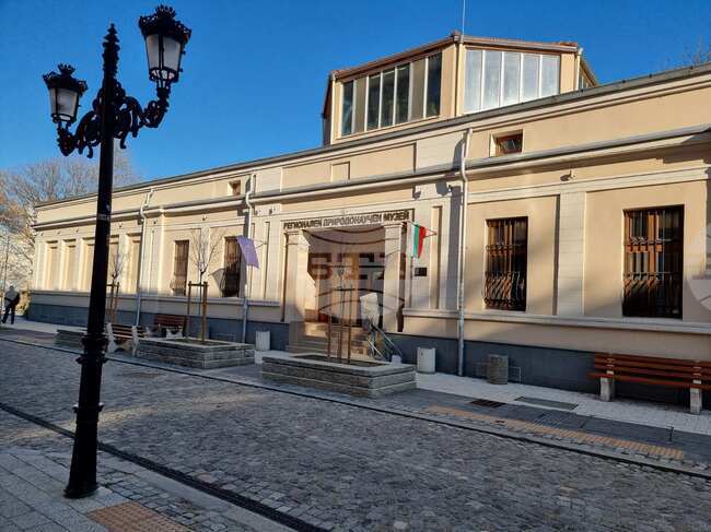 Природонаучният музей в Пловдив организира презентация за един от най-редките видове грабливи птици в Европа