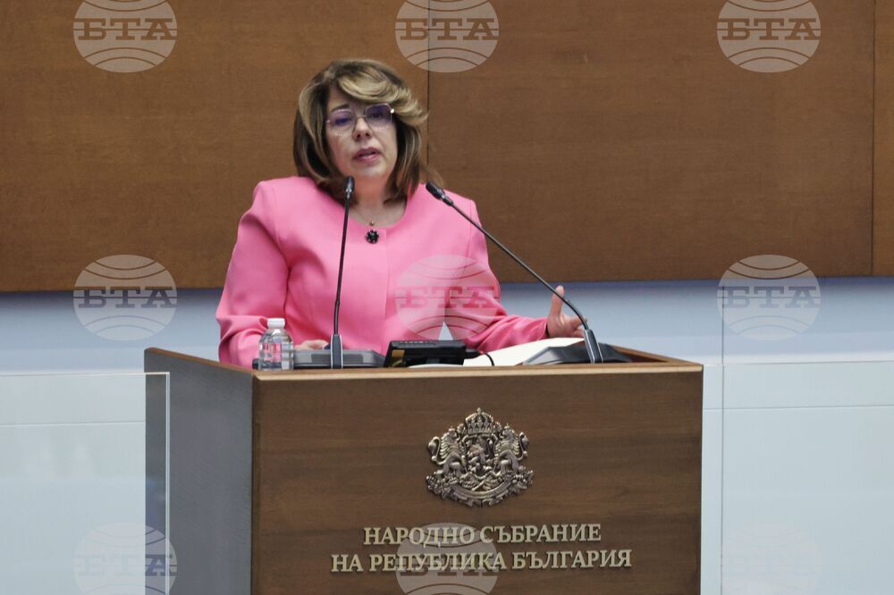 Народно събрание - парламентарен контрол - Виолета Коритарова-Касабова