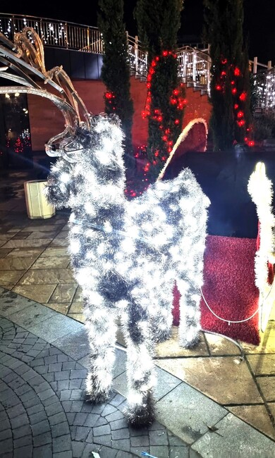 Дядо Коледа приема лично писмата на деца и възрастни в Асеновград