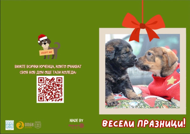 Община Варна: Второкласници от VII СУ „Найден Геров“ дариха храна за четириногите си приятели от приюта в с. Каменар