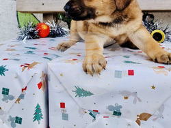 Снимка: Община Варна