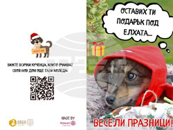 Снимка: Община Варна