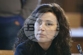 Парламент - Временна комисия - заседание