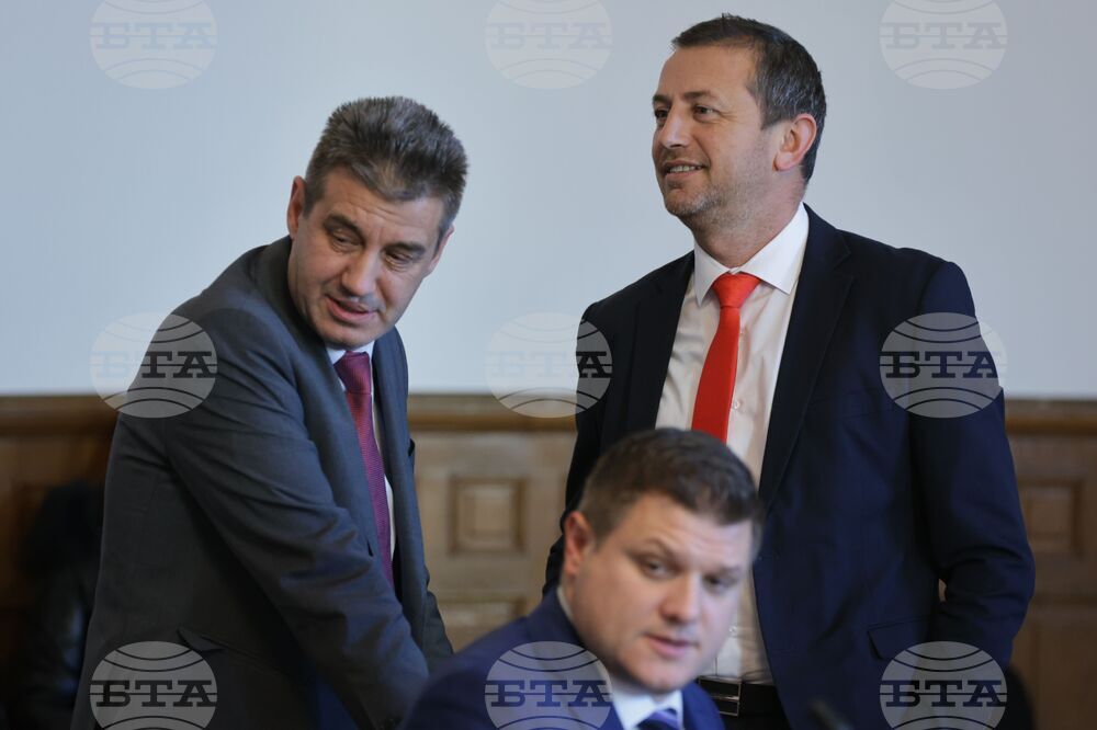 Парламент - Временна комисия - заседание