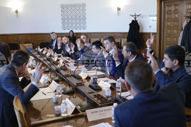 Парламент - Временна комисия - заседание