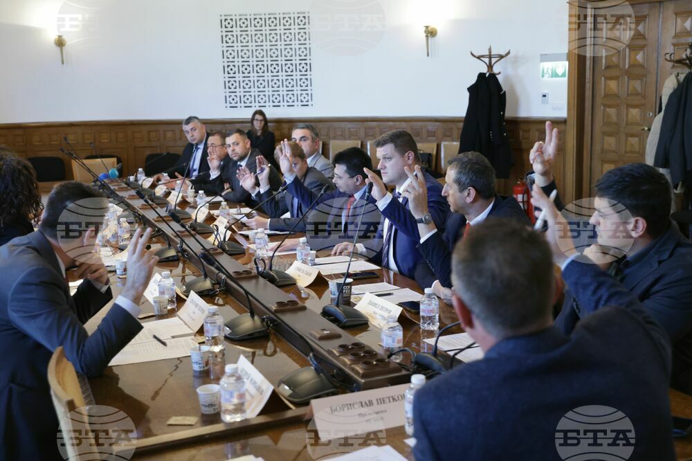 Парламент - Временна комисия - заседание