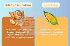 Инфографика - Цени на основни зърнени стоки - ССБ - 10-13 декември