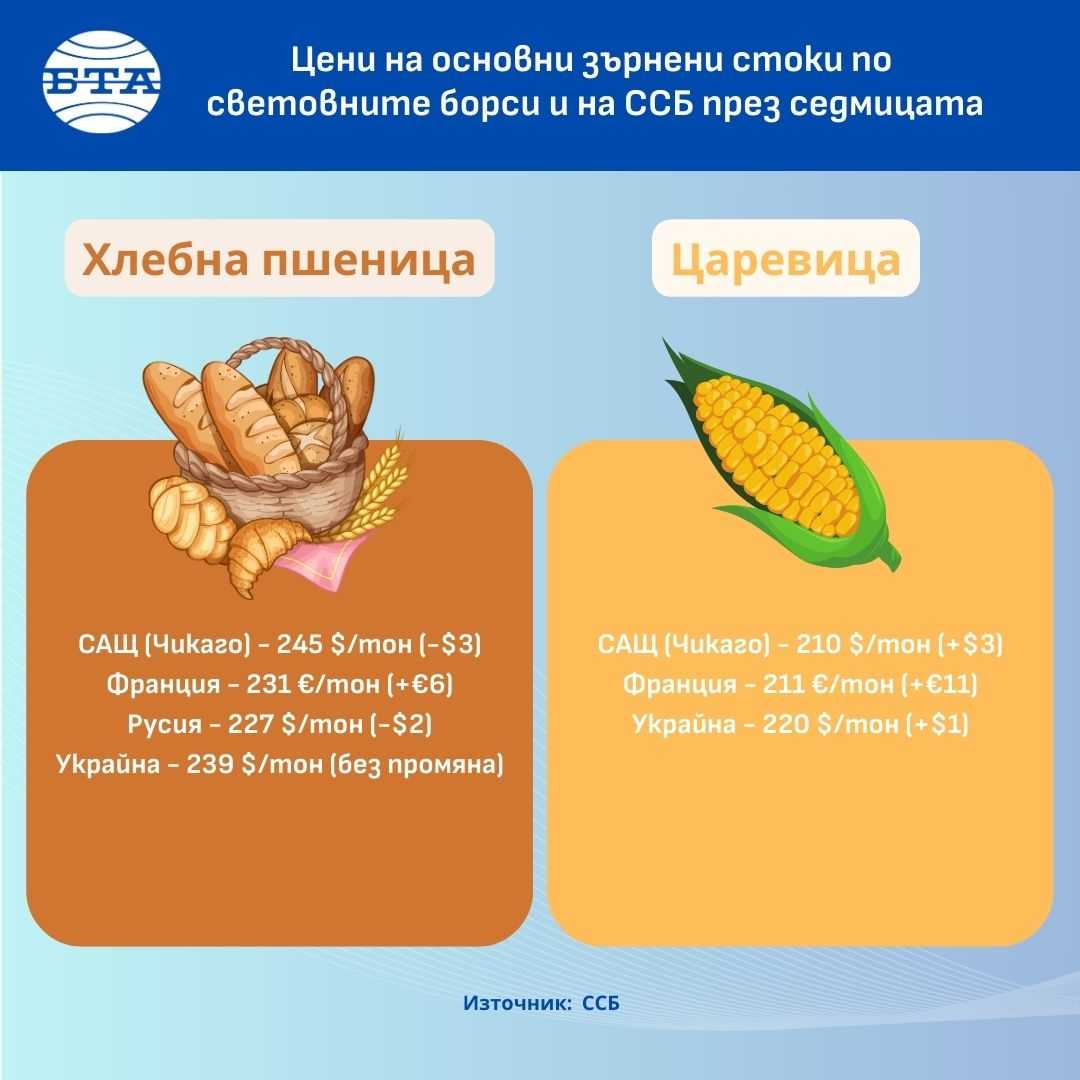 Инфографика - Цени на основни зърнени стоки - ССБ - 10-13 декември