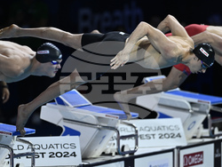 Hungary Swimming Short Course Worlds