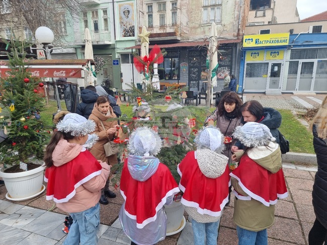 Деца, родители и учители украсяваха „Елхи на надеждата“ в Кюстендил