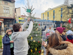 Кюстендил - инициатива „Елхи на надеждата”