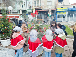 Кюстендил - инициатива „Елхи на надеждата”