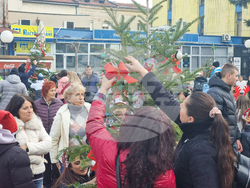 Кюстендил - инициатива „Елхи на надеждата”