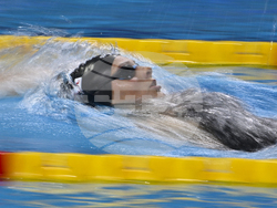 Hungary Swimming Short Course Worlds