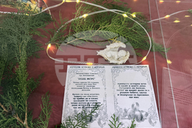 Казанлък - Коледни играчки - изложба