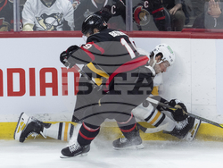 Penguins Senators Hockey