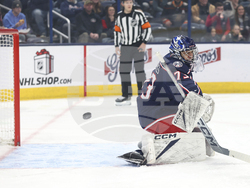 Ducks Blue Jackets Hockey