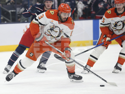 Ducks Blue Jackets Hockey