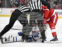 Maple Leafs Red Wings Hockey