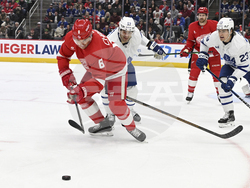 Maple Leafs Red Wings Hockey