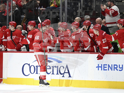 Maple Leafs Red Wings Hockey