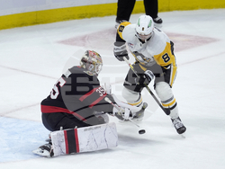 Penguins Senators Hockey