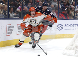Ducks Blue Jackets Hockey