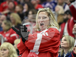 Maple Leafs Red Wings Hockey
