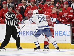 Maple Leafs Red Wings Hockey