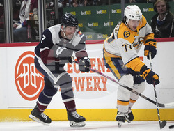 Predators Avalanche Hockey